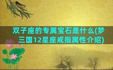 双子座的专属宝石是什么(梦三国12星座戒指属性介绍)