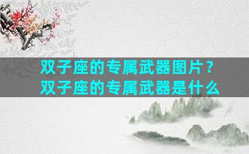 双子座的专属武器图片？双子座的专属武器是什么