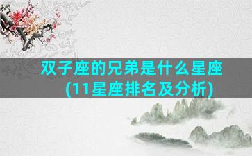 双子座的兄弟是什么星座(11星座排名及分析)
