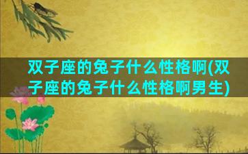 双子座的兔子什么性格啊(双子座的兔子什么性格啊男生)