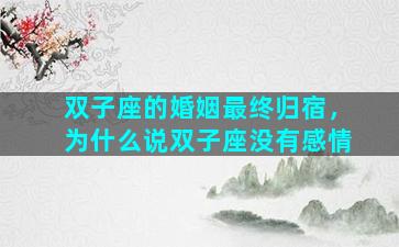 双子座的婚姻最终归宿，为什么说双子座没有感情