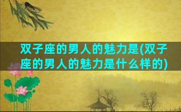 双子座的男人的魅力是(双子座的男人的魅力是什么样的)