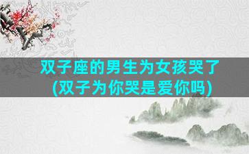 双子座的男生为女孩哭了(双子为你哭是爱你吗)