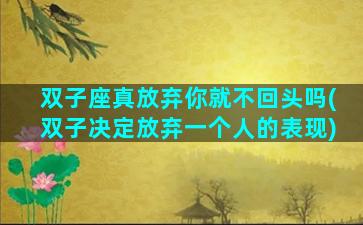 双子座真放弃你就不回头吗(双子决定放弃一个人的表现)
