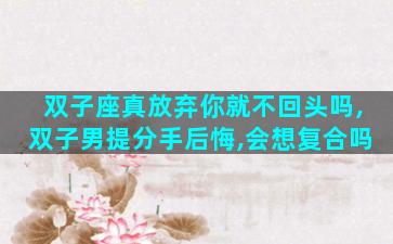 双子座真放弃你就不回头吗,双子男提分手后悔,会想复合吗