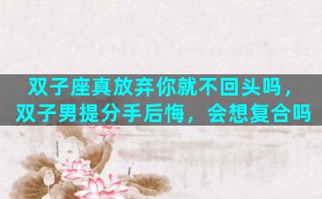 双子座真放弃你就不回头吗，双子男提分手后悔，会想复合吗