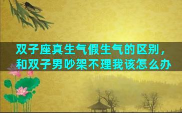 双子座真生气假生气的区别，和双子男吵架不理我该怎么办