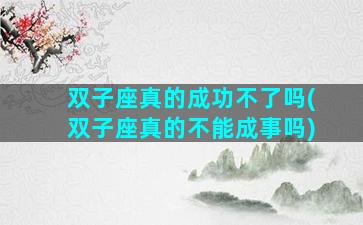 双子座真的成功不了吗(双子座真的不能成事吗)