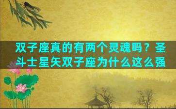 双子座真的有两个灵魂吗？圣斗士星矢双子座为什么这么强