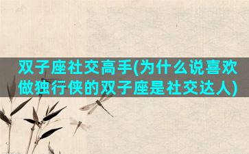 双子座社交高手(为什么说喜欢做独行侠的双子座是社交达人)