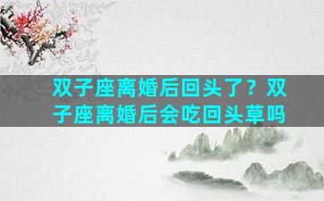 双子座离婚后回头了？双子座离婚后会吃回头草吗