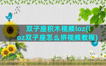 双子座积木视频loz(loz双子座怎么拼视频教程)