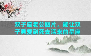 双子座老公图片，能让双子男爱到死去活来的星座