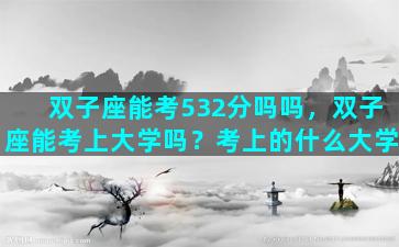 双子座能考532分吗吗，双子座能考上大学吗？考上的什么大学