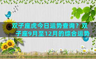 双子座虎今日运势查询？双子座9月至12月的综合运势