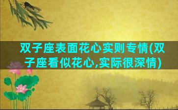 双子座表面花心实则专情(双子座看似花心,实际很深情)
