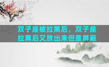 双子座被拉黑后，双子座拉黑后又放出来但是屏蔽