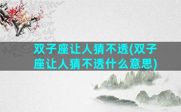 双子座让人猜不透(双子座让人猜不透什么意思)
