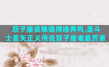 双子座该隐值得培养吗,圣斗士星矢正义传说双子座谁最厉害