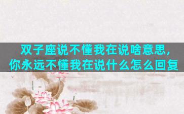 双子座说不懂我在说啥意思,你永远不懂我在说什么怎么回复