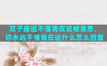 双子座说不懂我在说啥意思，你永远不懂我在说什么怎么回复