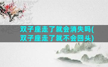 双子座走了就会消失吗(双子座走了就不会回头)