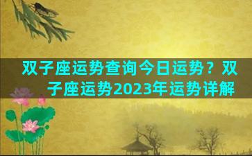双子座运势查询今日运势？双子座运势2023年运势详解