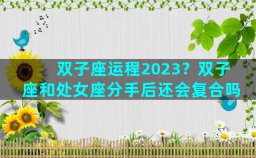 双子座运程2023？双子座和处女座分手后还会复合吗