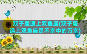 双子座遇上双鱼座(双子座遇上双鱼座是不幸中的万幸)