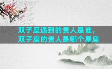 双子座遇到的贵人是谁，双子座的贵人是哪个星座