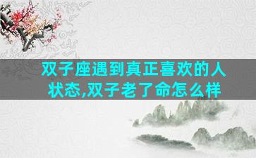 双子座遇到真正喜欢的人状态,双子老了命怎么样
