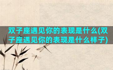 双子座遇见你的表现是什么(双子座遇见你的表现是什么样子)