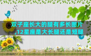 双子座长大的腿有多长图片,12星座是大长腿还是短腿