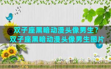 双子座黑暗动漫头像男生？双子座黑暗动漫头像男生图片