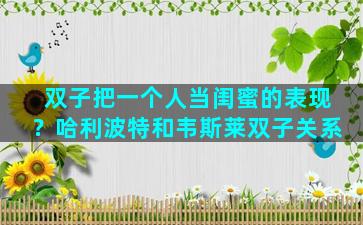 双子把一个人当闺蜜的表现？哈利波特和韦斯莱双子关系