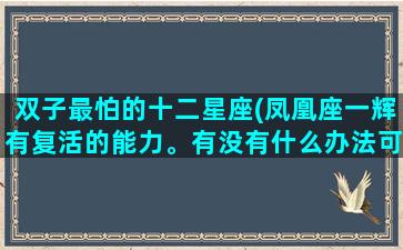 双子最怕的十二星座(凤凰座一辉有复活的能力。有没有什么办法可以彻底杀死他的办法)