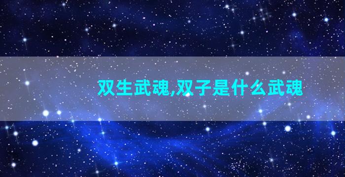 双生武魂,双子是什么武魂
