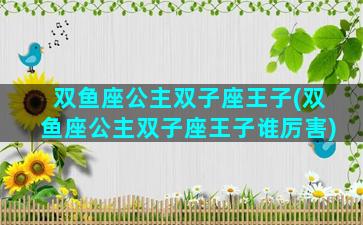 双鱼座公主双子座王子(双鱼座公主双子座王子谁厉害)