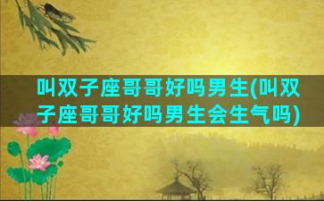 叫双子座哥哥好吗男生(叫双子座哥哥好吗男生会生气吗)