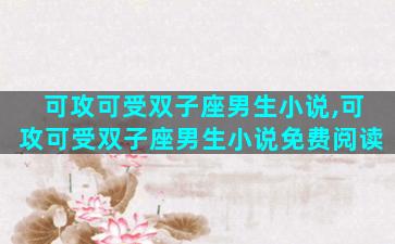 可攻可受双子座男生小说,可攻可受双子座男生小说免费阅读