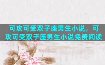 可攻可受双子座男生小说，可攻可受双子座男生小说免费阅读