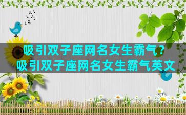 吸引双子座网名女生霸气？吸引双子座网名女生霸气英文