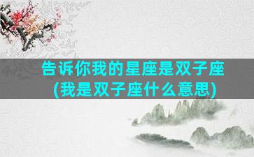 告诉你我的星座是双子座(我是双子座什么意思)
