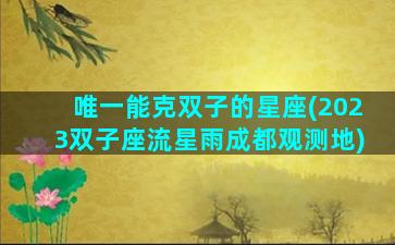 唯一能克双子的星座(2023双子座流星雨成都观测地)