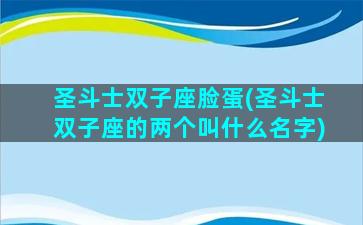 圣斗士双子座脸蛋(圣斗士双子座的两个叫什么名字)