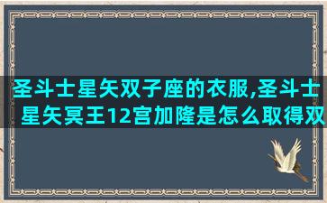 圣斗士星矢双子座的衣服,圣斗士星矢冥王12宫加隆是怎么取得双子座圣衣的