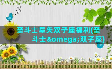 圣斗士星矢双子座福利(圣斗士ω双子座)