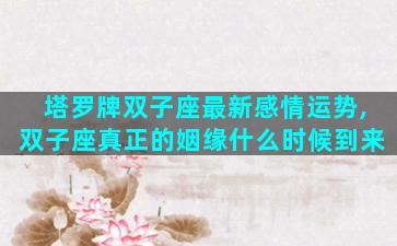 塔罗牌双子座最新感情运势,双子座真正的姻缘什么时候到来