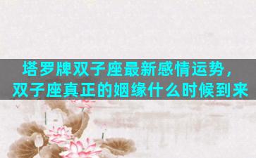 塔罗牌双子座最新感情运势，双子座真正的姻缘什么时候到来