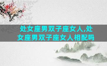 处女座男双子座女人,处女座男双子座女人相配吗